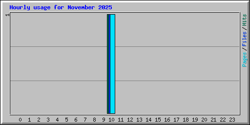 Hourly usage for November 2025