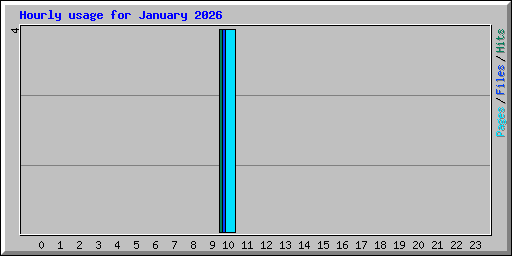 Hourly usage for January 2026