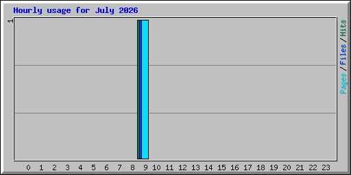 Hourly usage for July 2026